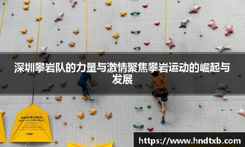 k1体育官方网站